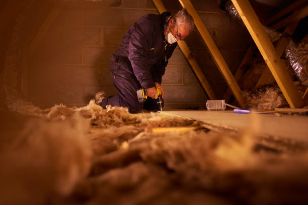 Best Commercial Insulation Services  in Southmayd, TX